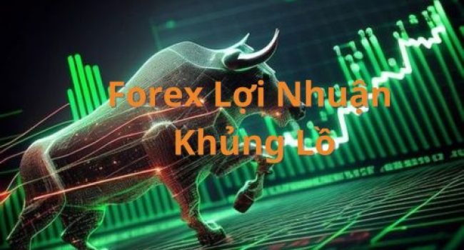 Exxo Market điều mà mọi người muốn biết về bí mật giao dịch forex!