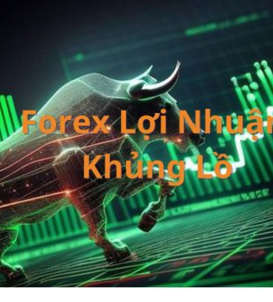 Exxo Market điều mà mọi người muốn biết về bí mật giao dịch forex!